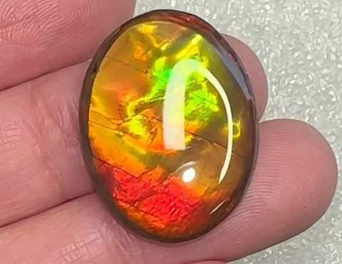 Loose Stone, Ammolite,Freeform, Cabochon 25x19mm,  Loose gemstone Canadian Ammonite,wrapping jewellery,Bright!.FC-131-1