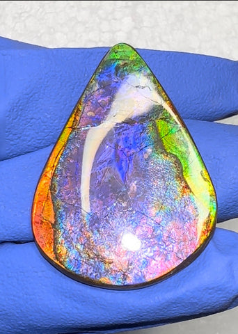 🌈Premium RARE Floral Pattern Natural Hand Polished Ammolite Double-Sided   FREE SHIPPING IMP91