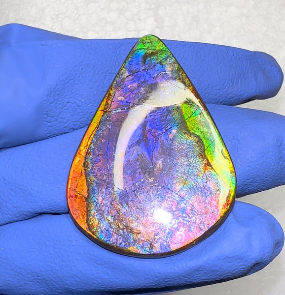 🌈Premium RARE Floral Pattern Natural Hand Polished Ammolite Double-Sided   FREE SHIPPING IMP91