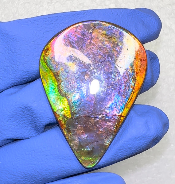 🌈Premium RARE Floral Pattern Natural Hand Polished Ammolite Double-Sided   FREE SHIPPING IMP91