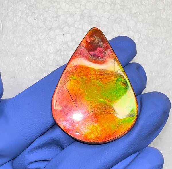 🌈Premium RARE Floral Pattern Natural Hand Polished Ammolite Double-Sided   FREE SHIPPING IMP91