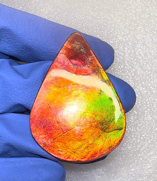 🌈Premium RARE Floral Pattern Natural Hand Polished Ammolite Double-Sided   FREE SHIPPING IMP91