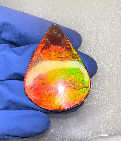 🌈Premium RARE Floral Pattern Natural Hand Polished Ammolite Double-Sided   FREE SHIPPING IMP91
