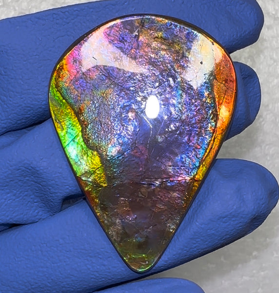 🌈Premium RARE Floral Pattern Natural Hand Polished Ammolite Double-Sided   FREE SHIPPING IMP91