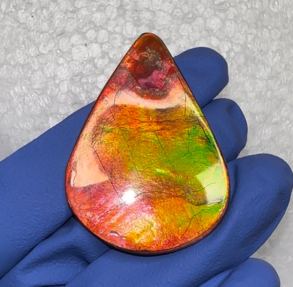 🌈Premium RARE Floral Pattern Natural Hand Polished Ammolite Double-Sided   FREE SHIPPING IMP91