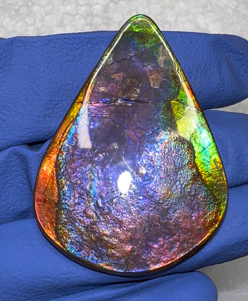 🌈Premium RARE Floral Pattern Natural Hand Polished Ammolite Double-Sided   FREE SHIPPING IMP91