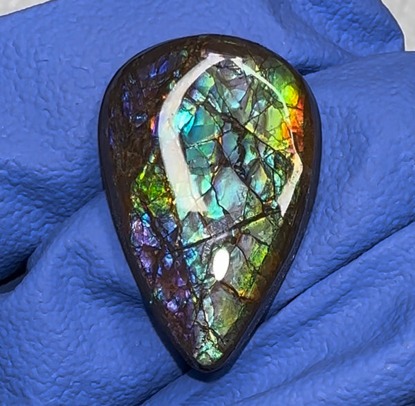Loose Stone, Ammolite,Freeform, Cabochon 26x17mm, Loose gemstone Canadian Ammonite,wrapping jewellery,Beauty!  FC-145-0