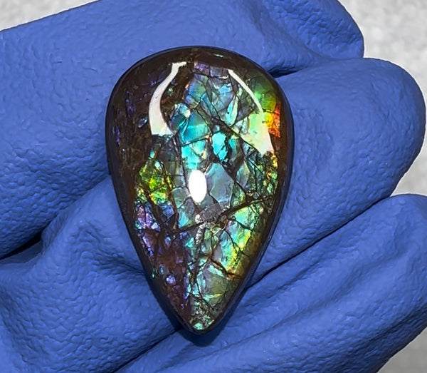 Loose Stone, Ammolite,Freeform, Cabochon 26x17mm, Loose gemstone Canadian Ammonite,wrapping jewellery,Beauty!  FC-145-0