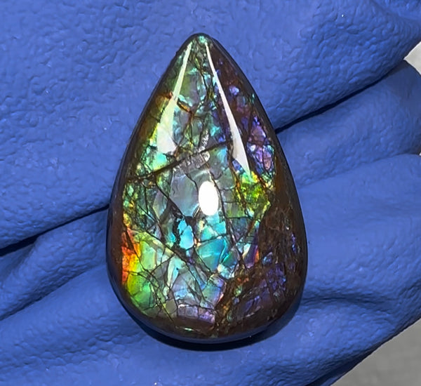 Loose Stone, Ammolite,Freeform, Cabochon 26x17mm, Loose gemstone Canadian Ammonite,wrapping jewellery,Beauty!  FC-145-0