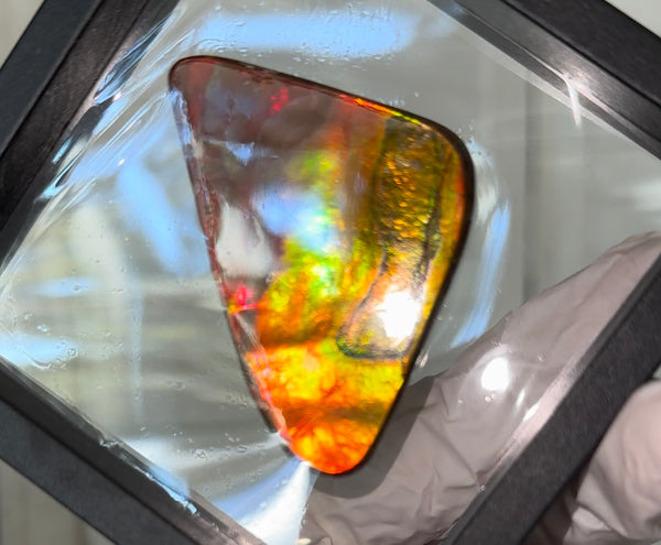 🌈Rare Large! 2.28" Thick! Imperial Rainbow! ,Ammolite, NATURAL Hand POLISHED Loose stone 58x36mm Loose Gemstones,gemstone High Grade IMP95