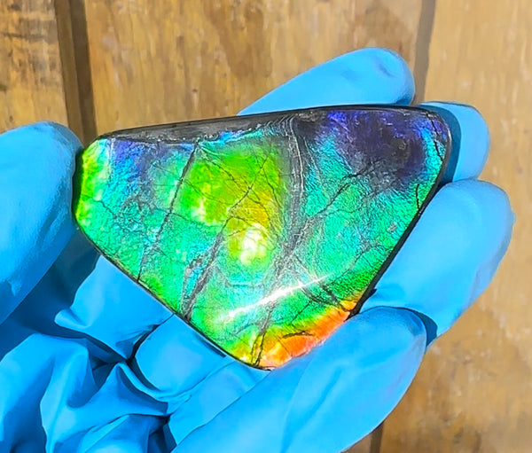 🌈Rare Large! 2.4" ! Imperial Rainbow! ,Ammolite, NATURAL Hand POLISHED Loose stone  Loose Gemstones,gemstone High Grade IMP97