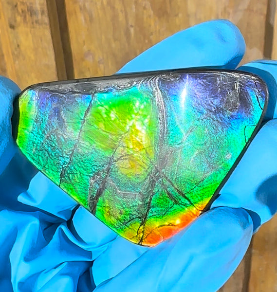 🌈Rare Large! 2.4" ! Imperial Rainbow! ,Ammolite, NATURAL Hand POLISHED Loose stone  Loose Gemstones,gemstone High Grade IMP97