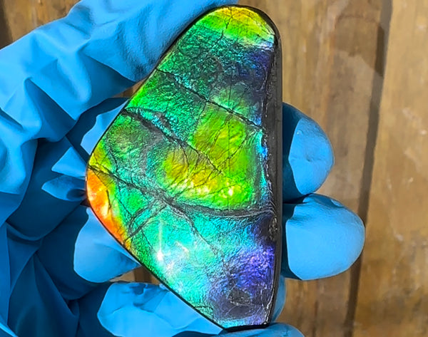 🌈Rare Large! 2.4" ! Imperial Rainbow! ,Ammolite, NATURAL Hand POLISHED Loose stone  Loose Gemstones,gemstone High Grade IMP97