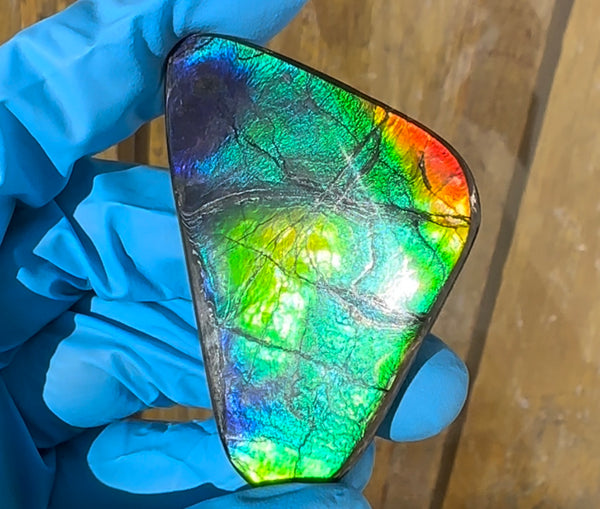 🌈Rare Large! 2.4" ! Imperial Rainbow! ,Ammolite, NATURAL Hand POLISHED Loose stone  Loose Gemstones,gemstone High Grade IMP97