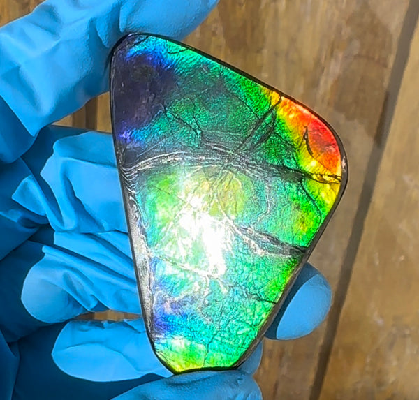 🌈Rare Large! 2.4" ! Imperial Rainbow! ,Ammolite, NATURAL Hand POLISHED Loose stone  Loose Gemstones,gemstone High Grade IMP97
