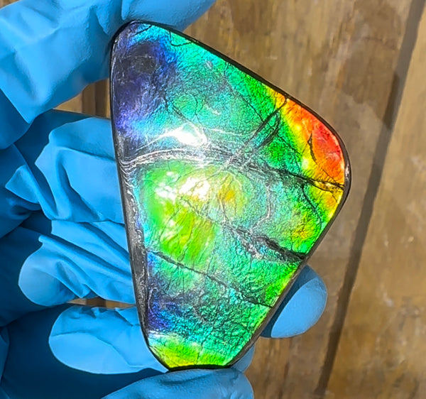 🌈Rare Large! 2.4" ! Imperial Rainbow! ,Ammolite, NATURAL Hand POLISHED Loose stone  Loose Gemstones,gemstone High Grade IMP97