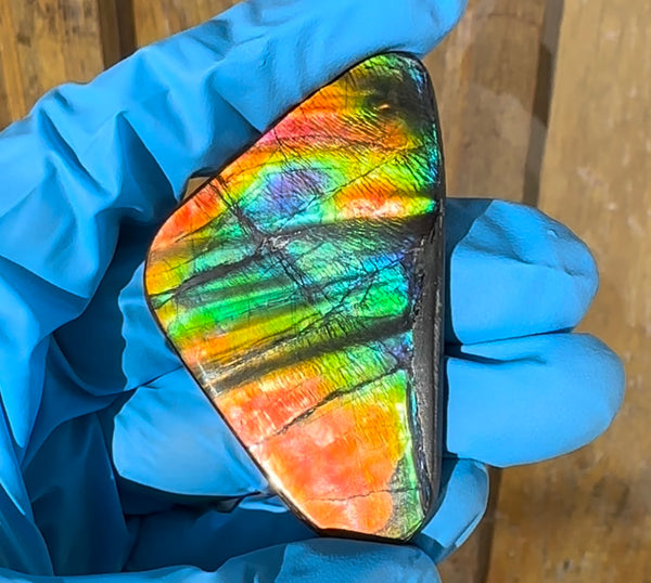 🌈Rare Large! 2.4" ! Imperial Rainbow! ,Ammolite, NATURAL Hand POLISHED Loose stone  Loose Gemstones,gemstone High Grade IMP97