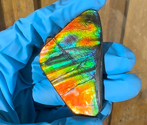 🌈Rare Large! 2.4" ! Imperial Rainbow! ,Ammolite, NATURAL Hand POLISHED Loose stone  Loose Gemstones,gemstone High Grade IMP97