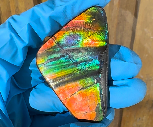 🌈Rare Large! 2.4" ! Imperial Rainbow! ,Ammolite, NATURAL Hand POLISHED Loose stone  Loose Gemstones,gemstone High Grade IMP97