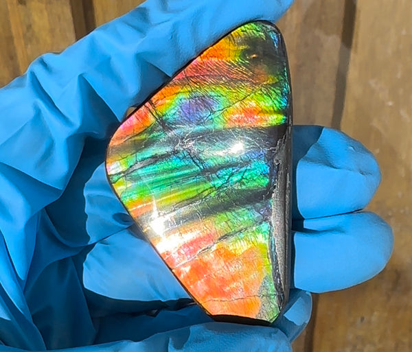 🌈Rare Large! 2.4" ! Imperial Rainbow! ,Ammolite, NATURAL Hand POLISHED Loose stone  Loose Gemstones,gemstone High Grade IMP97