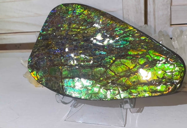 5.6” Ammolite Rough Display Stone,Handheld Specimen 142x84x15mm, Rough,Fossil,Fengshui,Metaphysical,Home Decor　CS-248
