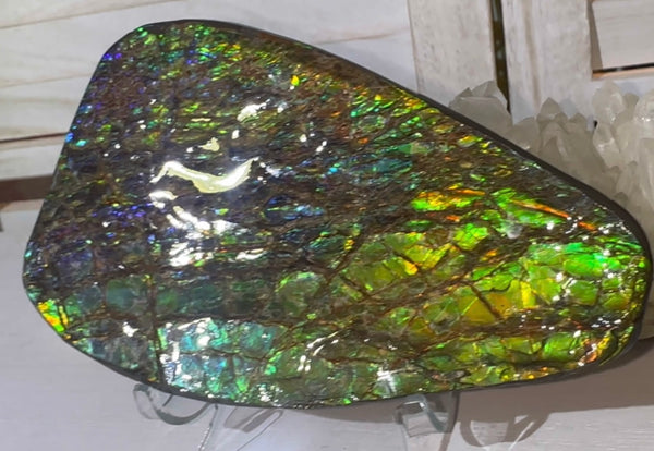 5.6” Ammolite Rough Display Stone,Handheld Specimen 142x84x15mm, Rough,Fossil,Fengshui,Metaphysical,Home Decor　CS-248