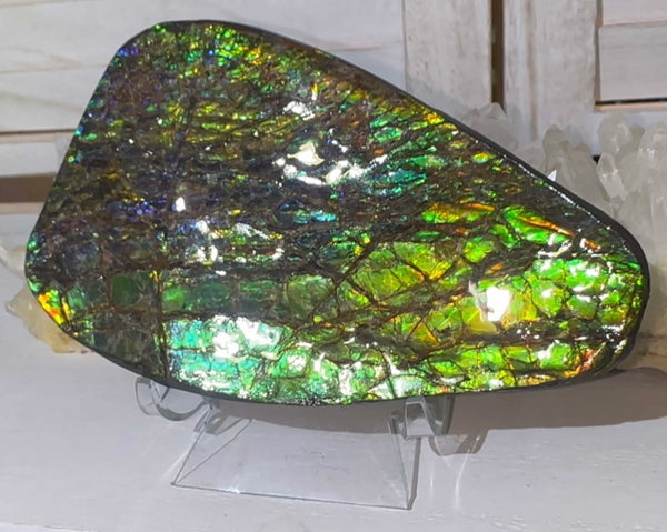 5.6” Ammolite Rough Display Stone,Handheld Specimen 142x84x15mm, Rough,Fossil,Fengshui,Metaphysical,Home Decor　CS-248