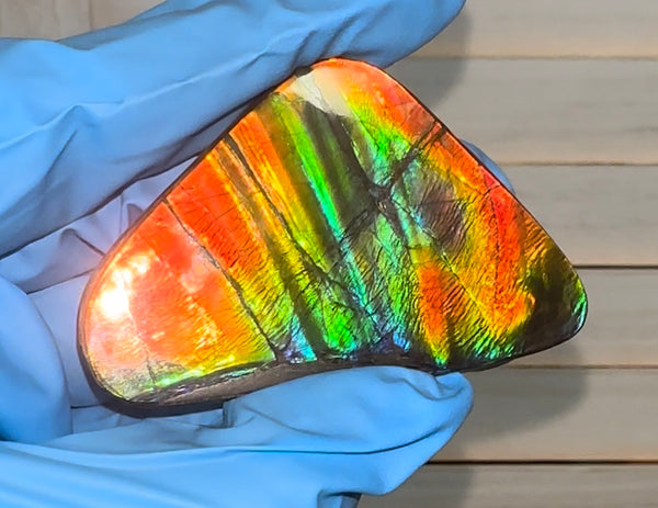 🌈Rare Large! 2.4" ! Imperial Rainbow! ,Ammolite, NATURAL Hand POLISHED Loose stone  Loose Gemstones,gemstone High Grade IMP97