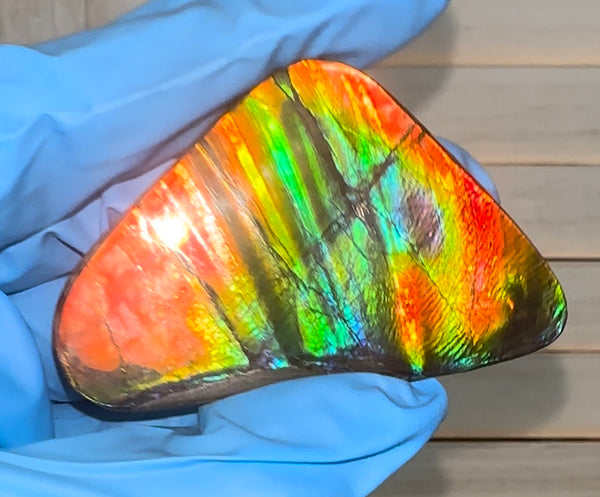 🌈Rare Large! 2.4" ! Imperial Rainbow! ,Ammolite, NATURAL Hand POLISHED Loose stone  Loose Gemstones,gemstone High Grade IMP97