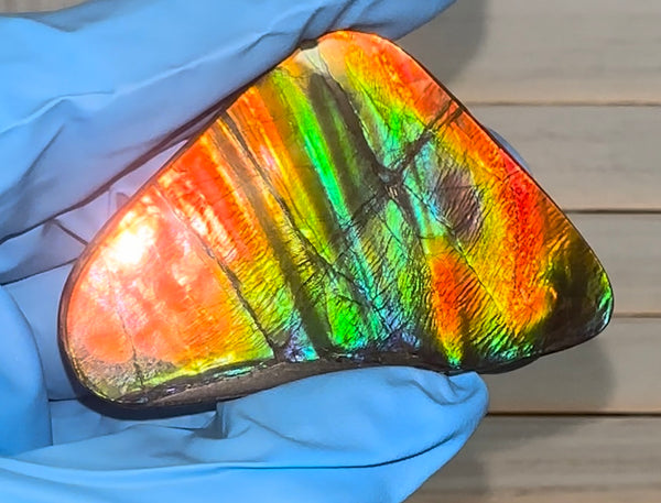 🌈Rare Large! 2.4" ! Imperial Rainbow! ,Ammolite, NATURAL Hand POLISHED Loose stone  Loose Gemstones,gemstone High Grade IMP97