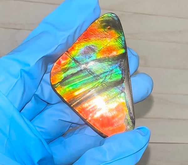 🌈Rare Large! 2.4" ! Imperial Rainbow! ,Ammolite, NATURAL Hand POLISHED Loose stone  Loose Gemstones,gemstone High Grade IMP97