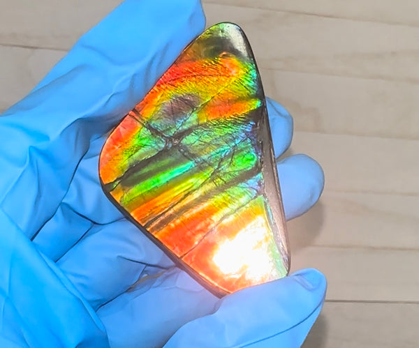 🌈Rare Large! 2.4" ! Imperial Rainbow! ,Ammolite, NATURAL Hand POLISHED Loose stone  Loose Gemstones,gemstone High Grade IMP97