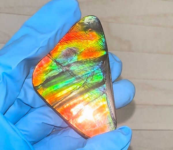 🌈Rare Large! 2.4" ! Imperial Rainbow! ,Ammolite, NATURAL Hand POLISHED Loose stone  Loose Gemstones,gemstone High Grade IMP97