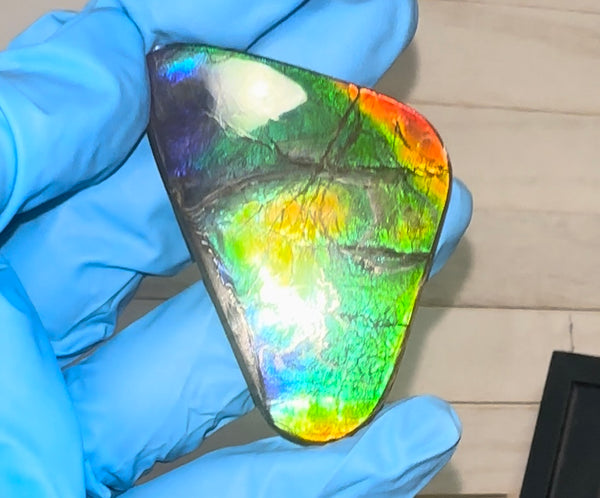 🌈Rare Large! 2.4" ! Imperial Rainbow! ,Ammolite, NATURAL Hand POLISHED Loose stone  Loose Gemstones,gemstone High Grade IMP97