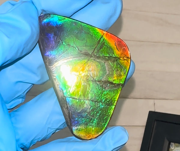 🌈Rare Large! 2.4" ! Imperial Rainbow! ,Ammolite, NATURAL Hand POLISHED Loose stone  Loose Gemstones,gemstone High Grade IMP97