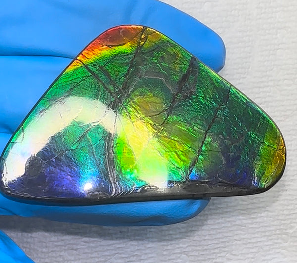 🌈Rare Large! 2.4" ! Imperial Rainbow! ,Ammolite, NATURAL Hand POLISHED Loose stone  Loose Gemstones,gemstone High Grade IMP97