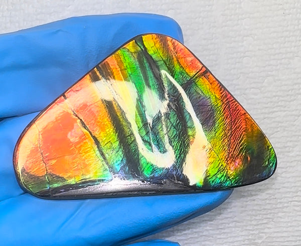🌈Rare Large! 2.4" ! Imperial Rainbow! ,Ammolite, NATURAL Hand POLISHED Loose stone  Loose Gemstones,gemstone High Grade IMP97