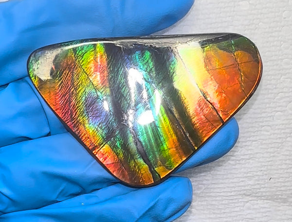 🌈Rare Large! 2.4" ! Imperial Rainbow! ,Ammolite, NATURAL Hand POLISHED Loose stone  Loose Gemstones,gemstone High Grade IMP97