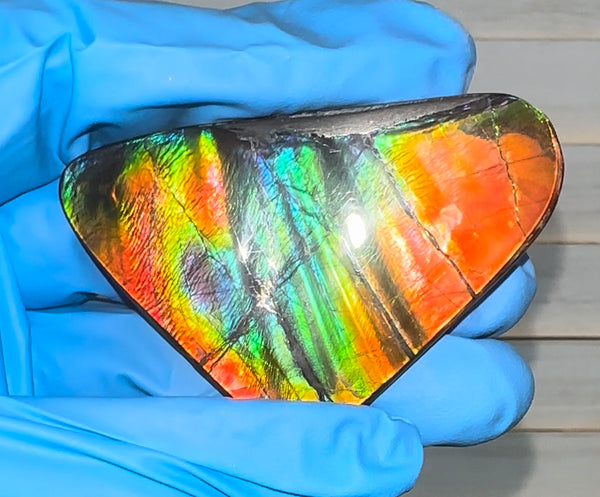 🌈Rare Large! 2.4" ! Imperial Rainbow! ,Ammolite, NATURAL Hand POLISHED Loose stone  Loose Gemstones,gemstone High Grade IMP97