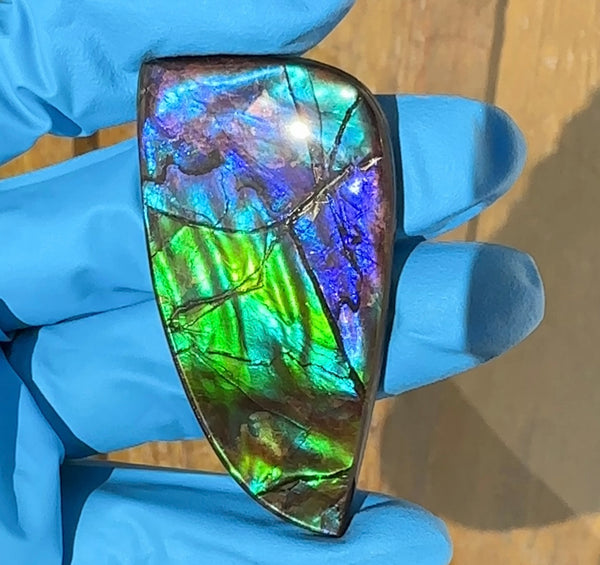 Large!  Loose Stone,Ammolite,Freeform, Cabochon ,63x31mm  Loose gemstone Canadian Ammonite,wrapping jewellery, Beauty!FC-122