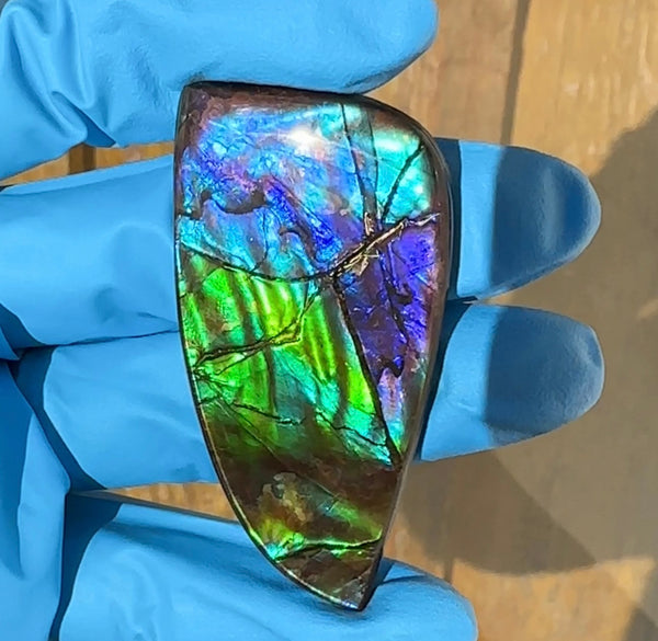 Large!  Loose Stone,Ammolite,Freeform, Cabochon ,63x31mm  Loose gemstone Canadian Ammonite,wrapping jewellery, Beauty!FC-122