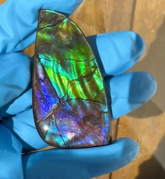 Large!  Loose Stone,Ammolite,Freeform, Cabochon ,63x31mm  Loose gemstone Canadian Ammonite,wrapping jewellery, Beauty!FC-122