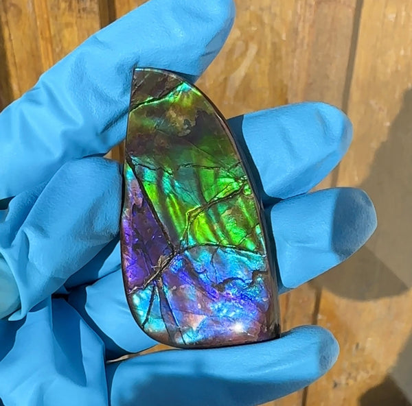 Large!  Loose Stone,Ammolite,Freeform, Cabochon ,63x31mm  Loose gemstone Canadian Ammonite,wrapping jewellery, Beauty!FC-122