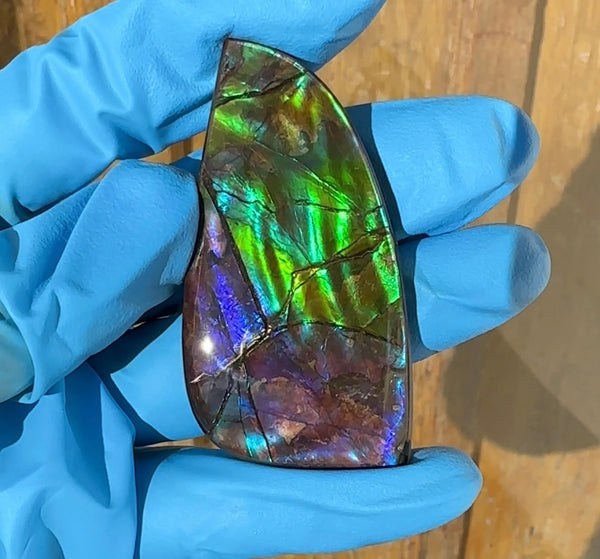 Large!  Loose Stone,Ammolite,Freeform, Cabochon ,63x31mm  Loose gemstone Canadian Ammonite,wrapping jewellery, Beauty!FC-122