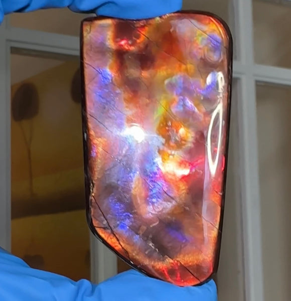 Natural hand polished, Free Form . FFNT175 Ammolite High Grade.