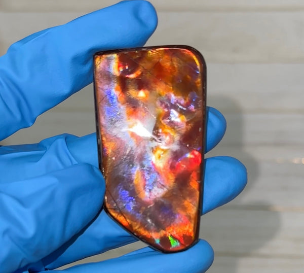 Natural hand polished, Free Form . FFNT175 Ammolite High Grade.