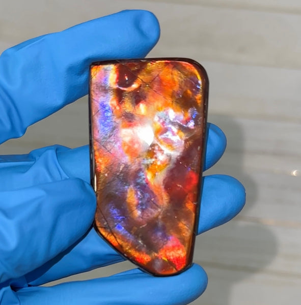 Natural hand polished, Free Form . FFNT175 Ammolite High Grade.