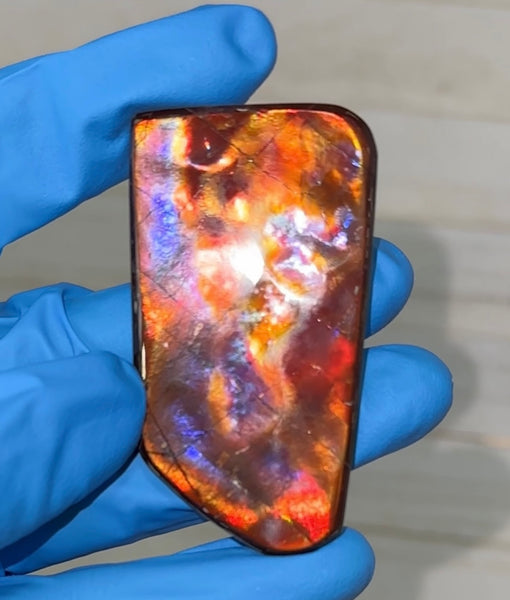 Natural hand polished, Free Form . FFNT175 Ammolite High Grade.