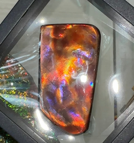 Natural hand polished, Free Form . FFNT175 Ammolite High Grade.