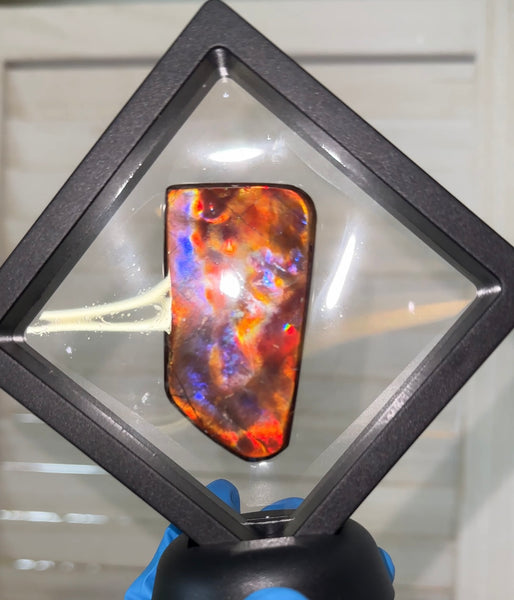 Natural hand polished, Free Form . FFNT175 Ammolite High Grade.